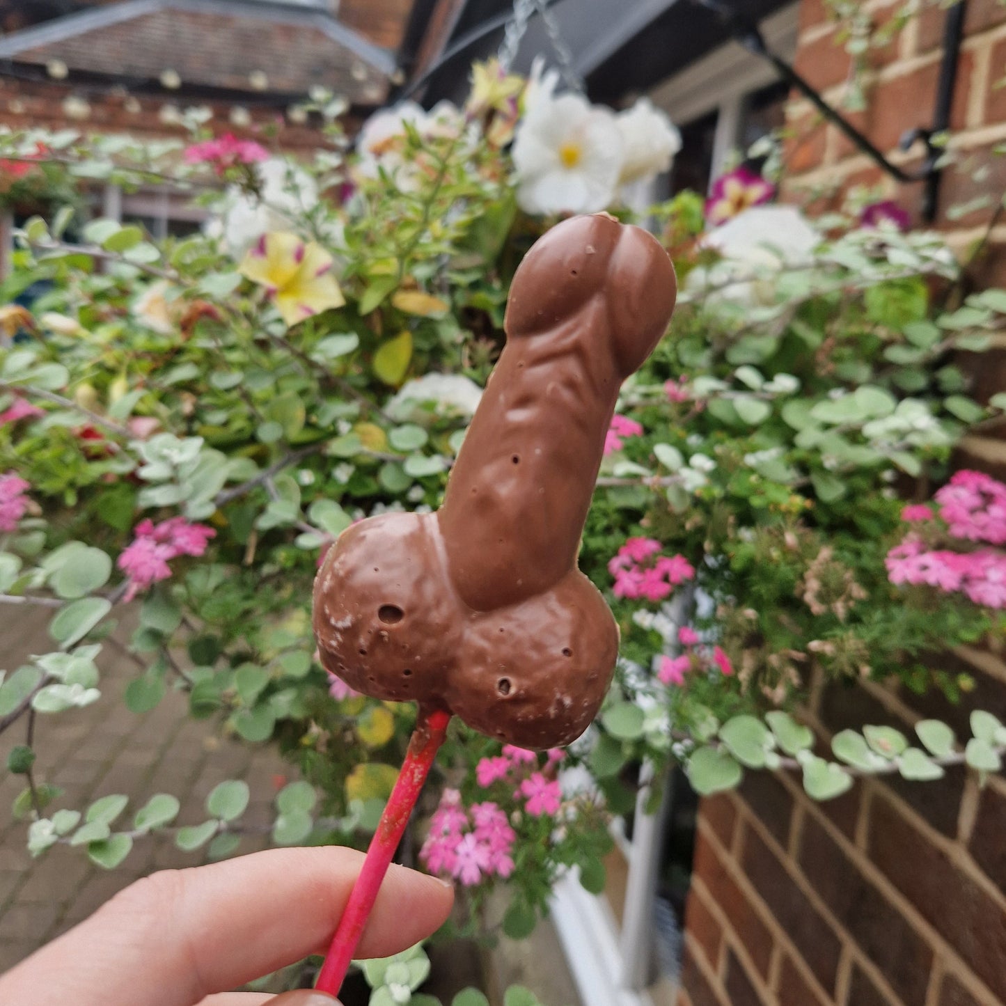 Dick Chocolate Lolly